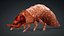 Larval-V1e