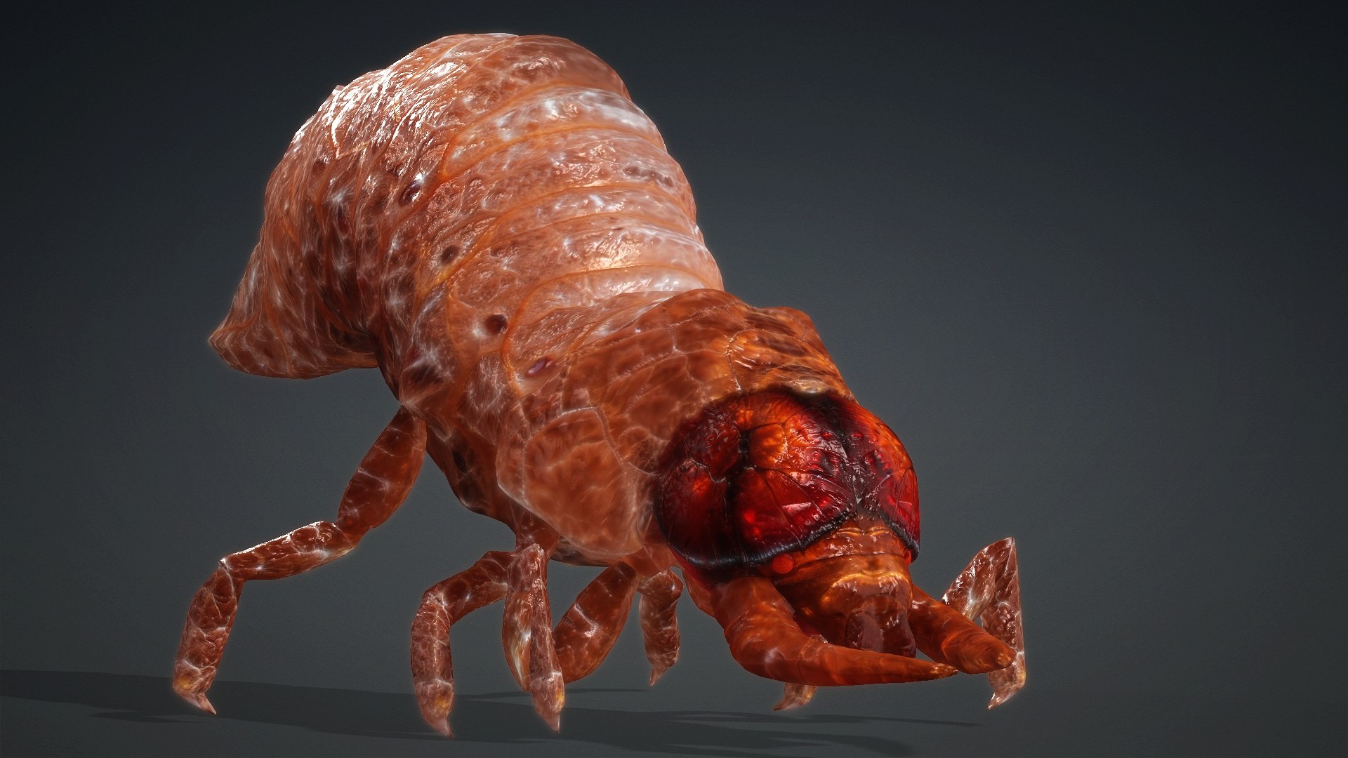 3D Larval-V1e https://p.turbosquid.com/ts-thumb/5P/DEdYiq/r7/preview11/jpg/1776844382/1920x1080/fit_q87/a1acc2b29835f54aeabdb9cb5bf181fa6453dc75/preview11.jpg