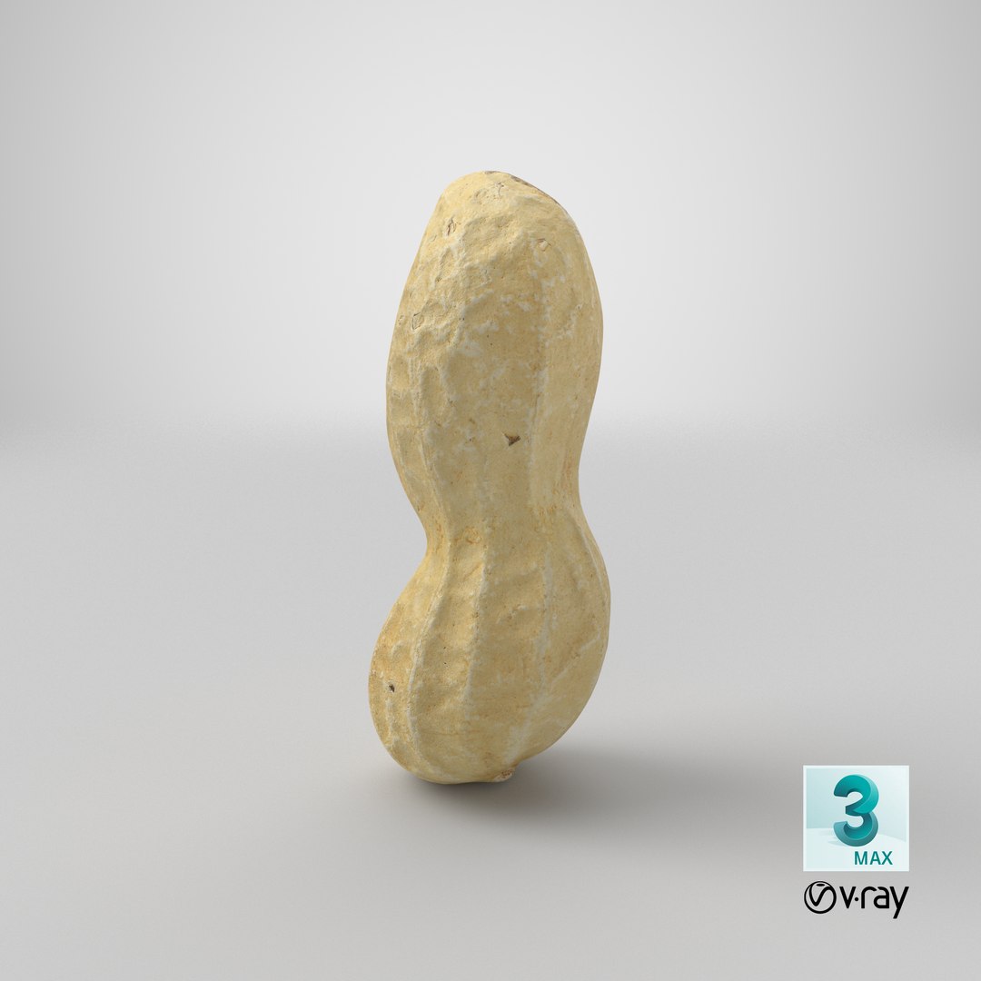 Peanut Shell 03 model https://p.turbosquid.com/ts-thumb/5P/DH60Rn/J0/stemcell_max_vray_render/png/1664253994/1920x1080/fit_q87/e2582cbb65c96b52a909ee3d19725e5a22aa7698/stemcell_max_vray_render.jpg
