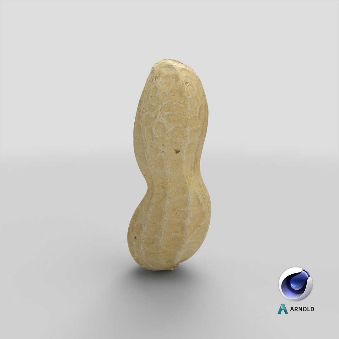 Peanut Shell 03 model https://p.turbosquid.com/ts-thumb/5P/DH60Rn/QQ/stemcell_cinema_4d_arnold_render/png/1664253987/1920x1080/fit_q87/918fd7dc721d0e2e4902fa3c314ccb592990b6df/stemcell_cinema_4d_arnold_render.jpg
