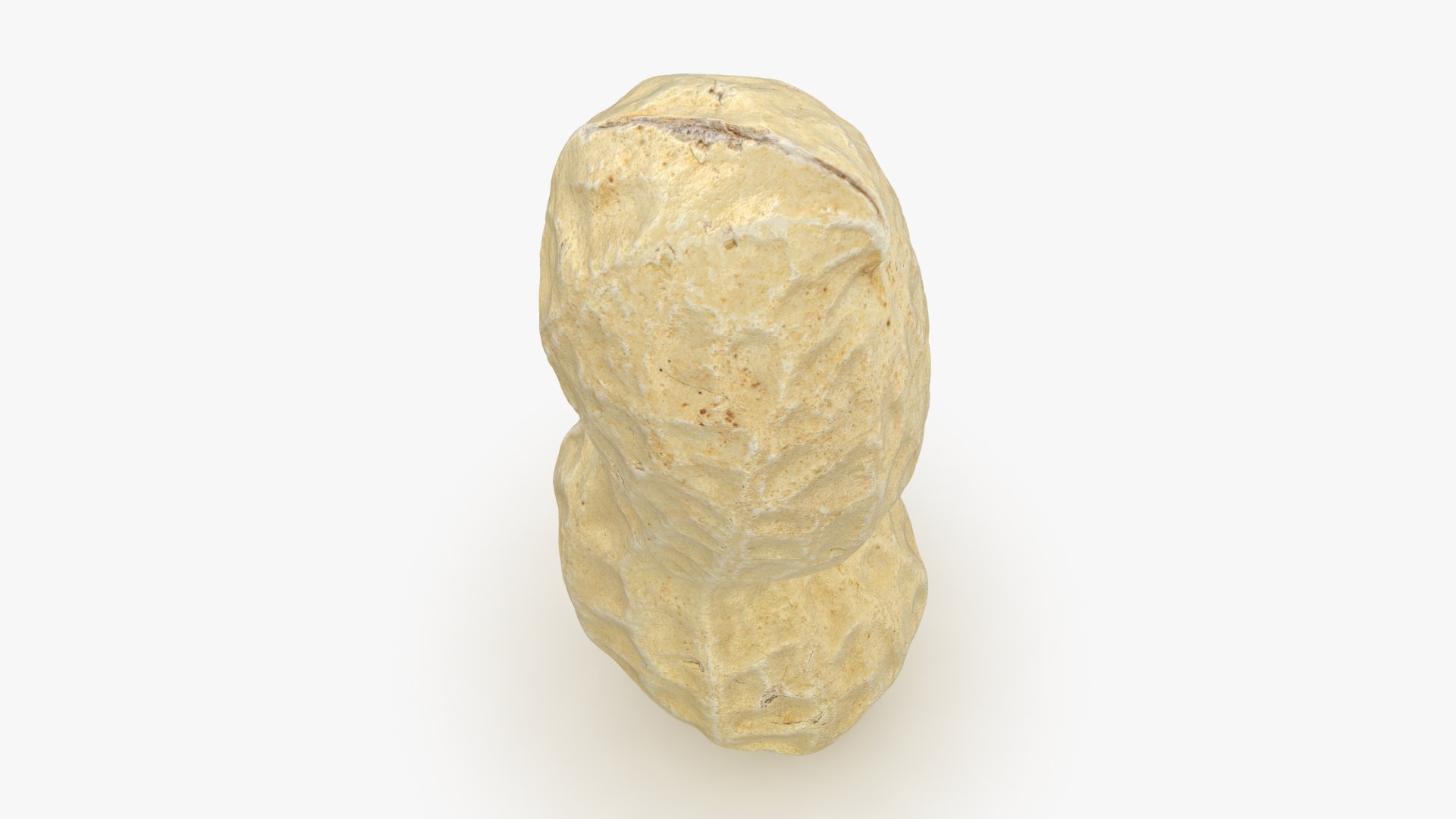 Peanut Shell 03 model https://p.turbosquid.com/ts-thumb/5P/DH60Rn/bW/peanutshell_3_b0010/jpg/1663427324/1920x1080/fit_q87/14e9e5b36112e755346fe92d2b2355a835633172/peanutshell_3_b0010.jpg