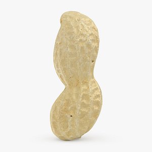 Peanut Shell 03