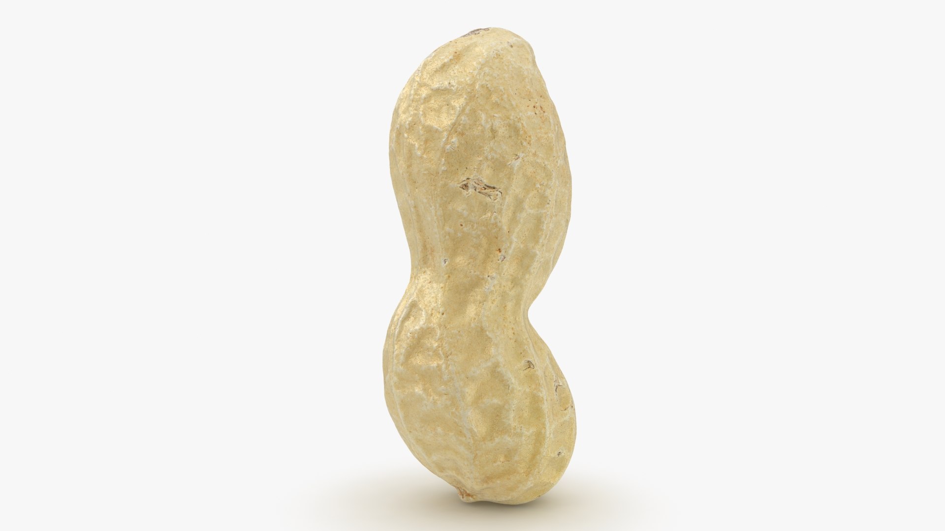 Peanut Shell 03 model https://p.turbosquid.com/ts-thumb/5P/DH60Rn/fh/peanutshell_3_b0004/jpg/1663427304/1920x1080/fit_q87/7c12a231de90d9d3112ec603d42cd676f813796d/peanutshell_3_b0004.jpg