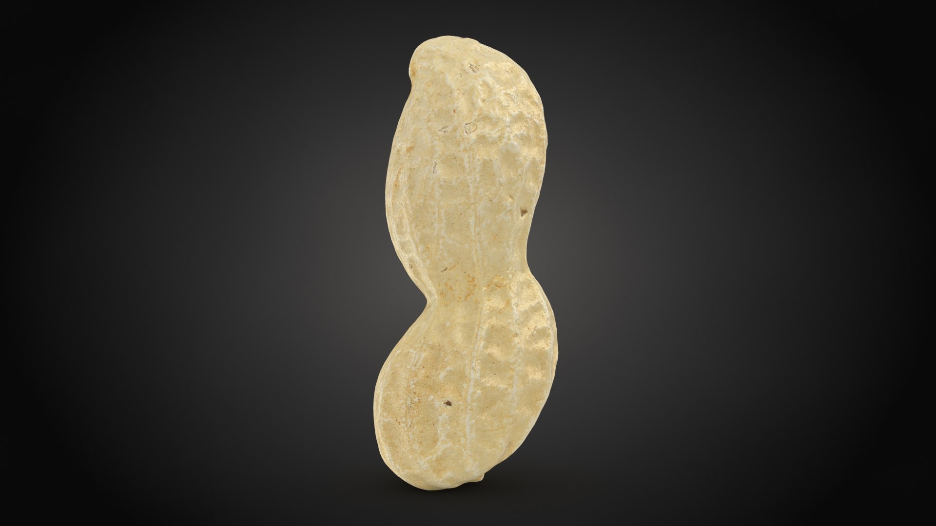 Peanut Shell 03 model https://p.turbosquid.com/ts-thumb/5P/DH60Rn/wT/peanutshell_3_a0001/jpg/1663427275/1920x1080/fit_q87/09f7f93ad73c68880144fa376008e6a97149b3bd/peanutshell_3_a0001.jpg