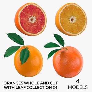 3D model Oranges Whole and Cut With Leaf Collection 01 - 4 models