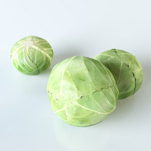 max cabbage