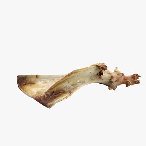 bone animation 3d max