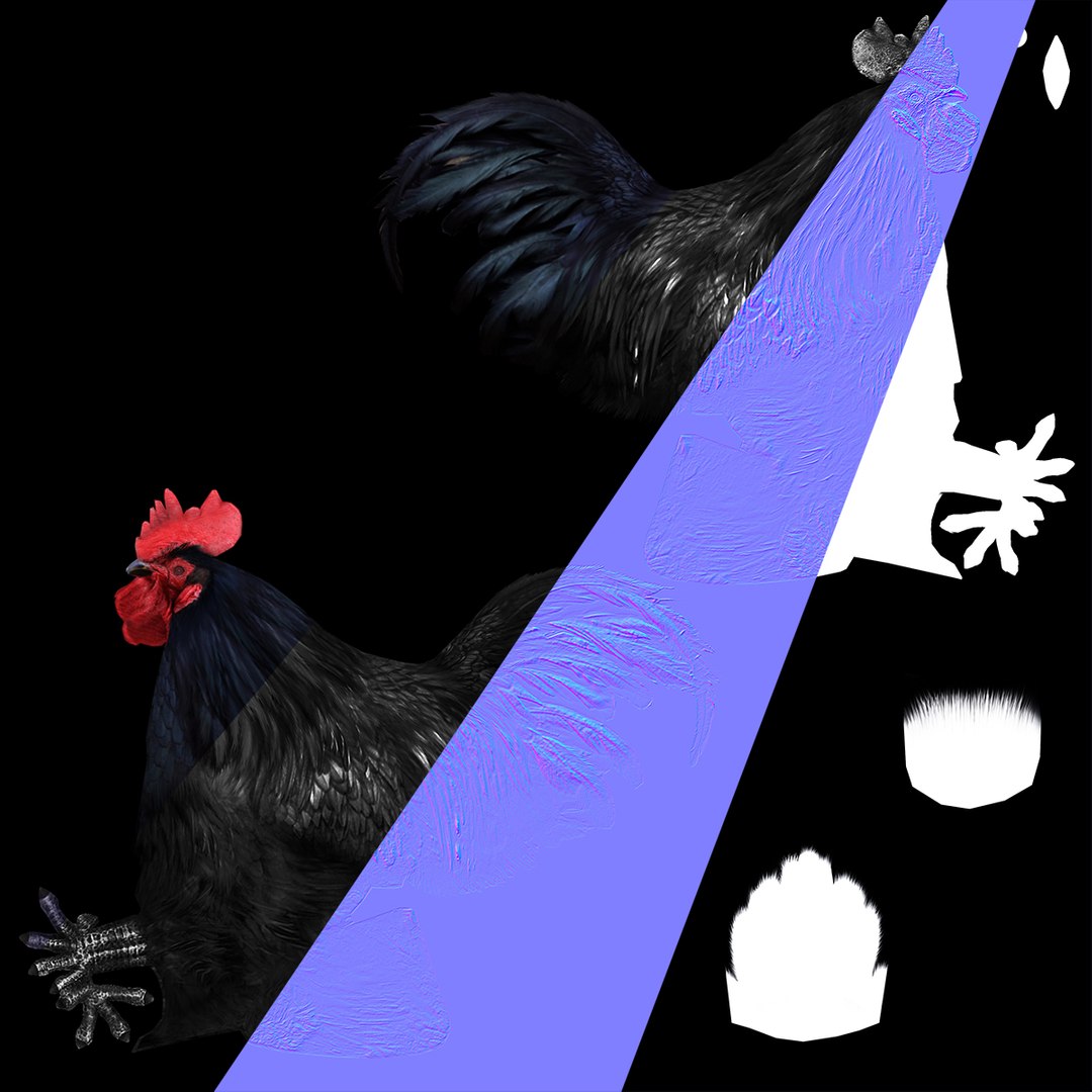 3D Rooster - Model - TurboSquid 1441023