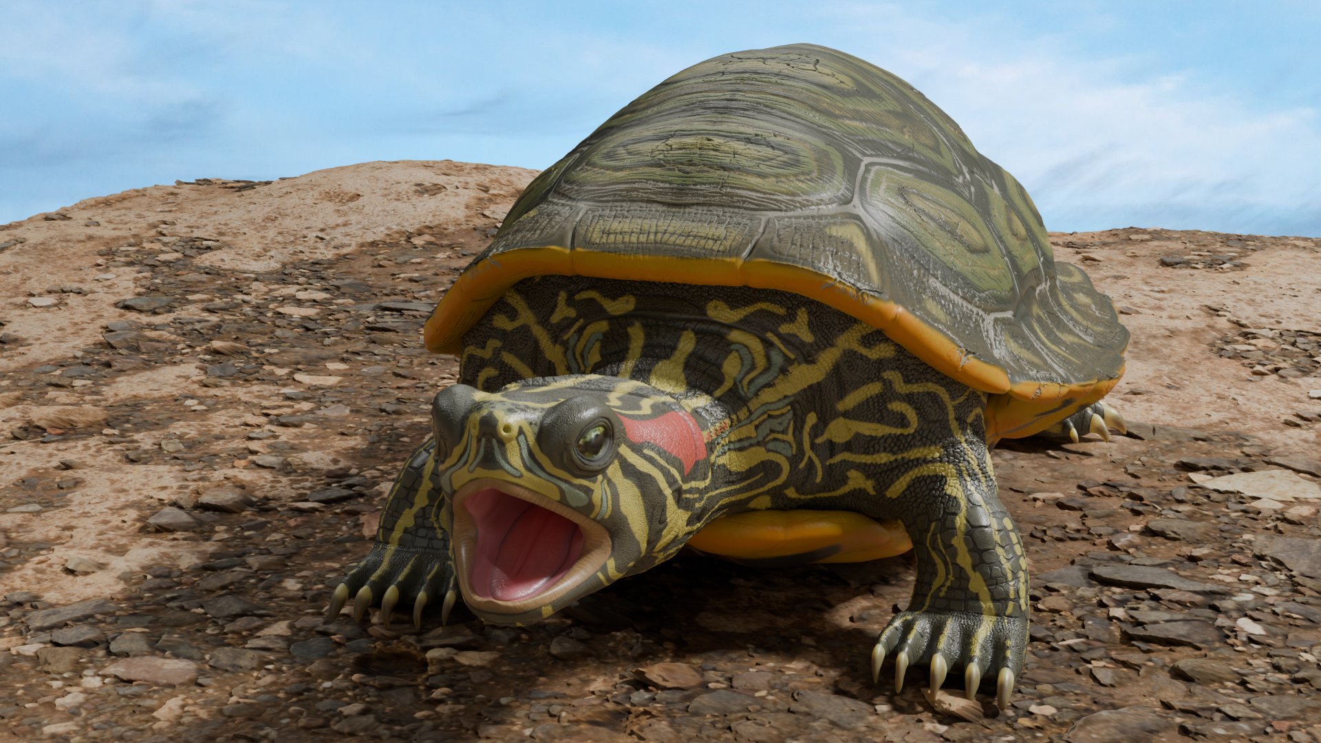 Red Eared Slider Turtle 3D model https://p.turbosquid.com/ts-thumb/5P/hbso3J/7c/front/png/1747569368/1920x1080/fit_q87/c851a76cb9a118d762fb4ce183e2f9dc8890b74b/front.jpg
