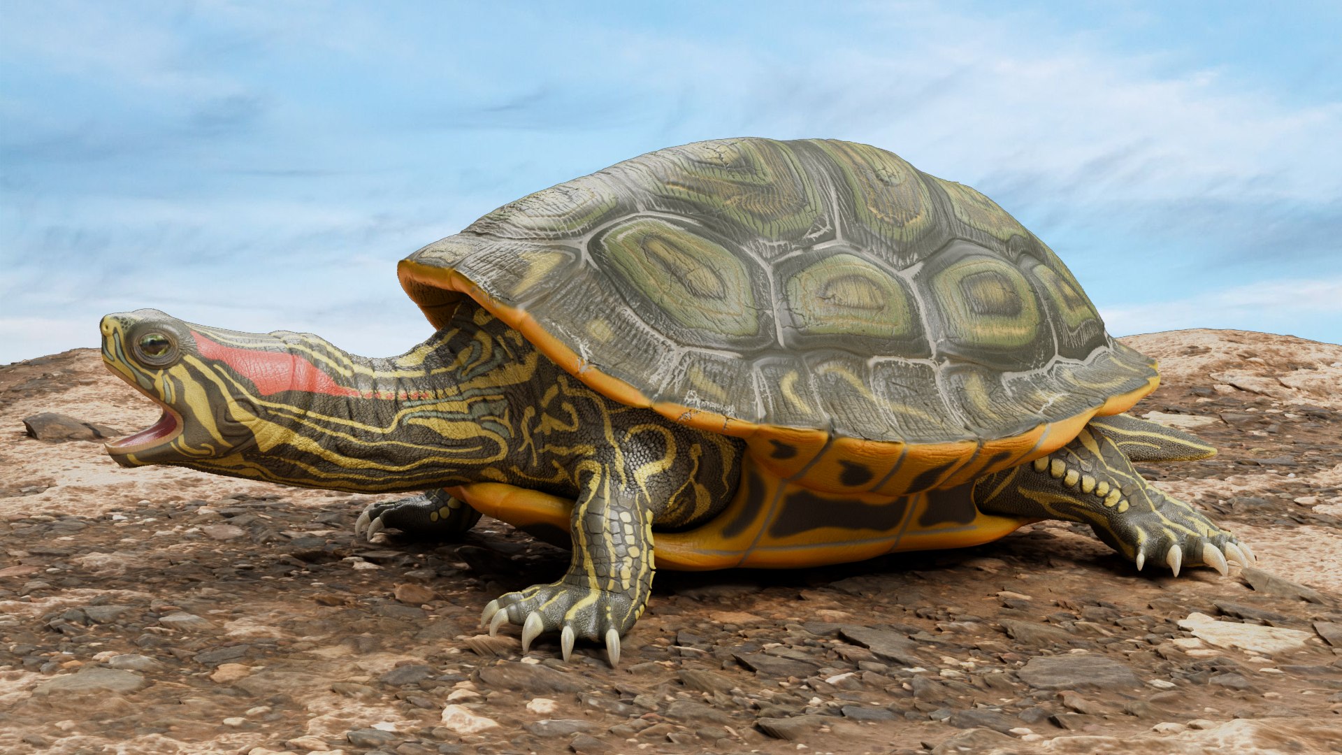 Red Eared Slider Turtle 3D model https://p.turbosquid.com/ts-thumb/5P/hbso3J/mI/side/png/1747569370/1920x1080/fit_q87/910485b2327f872b0df6a144a97342d3825449bf/side.jpg