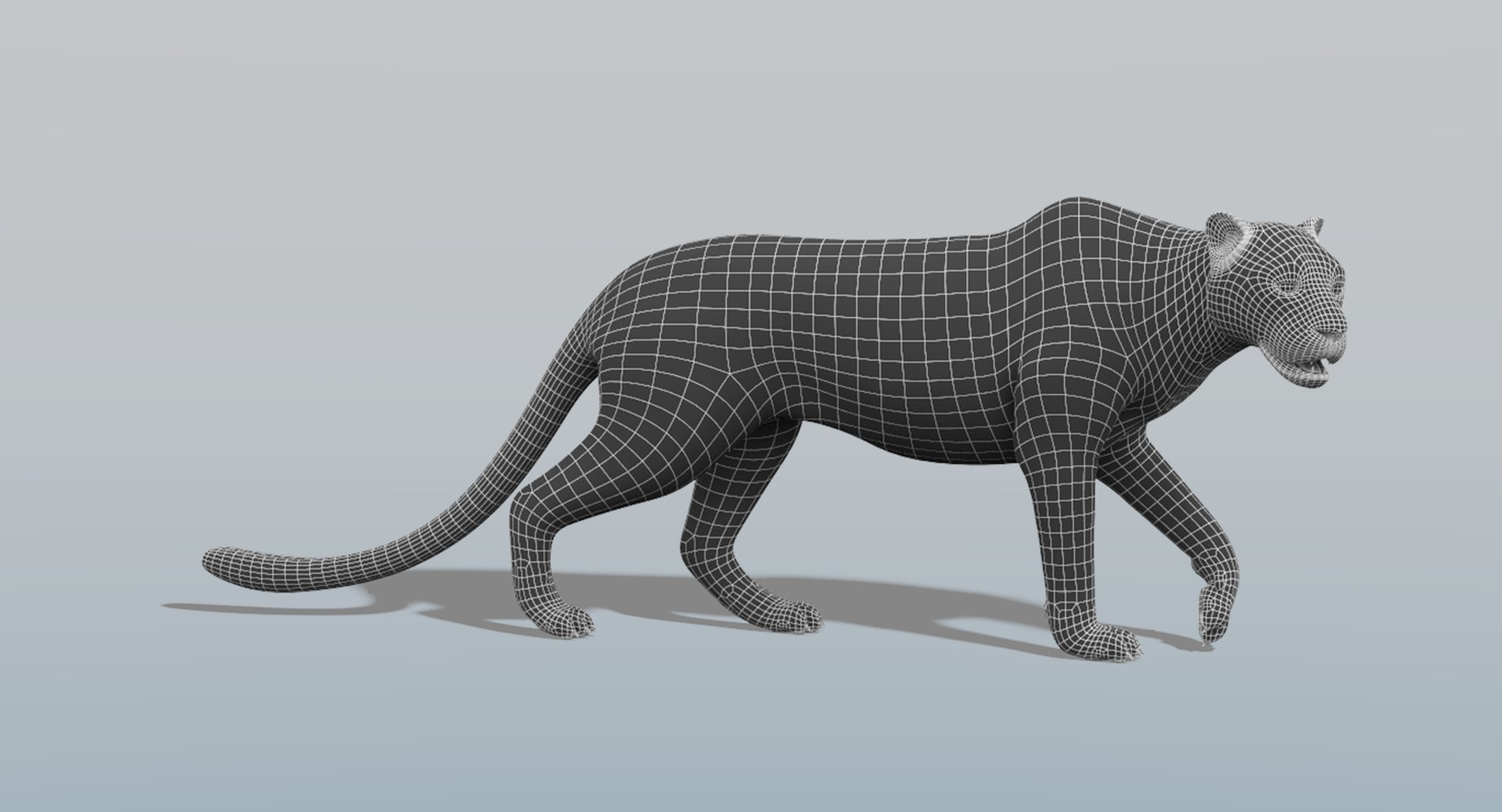 Leopard Fur Rigged Model - TurboSquid 1238746