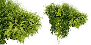 3D Collection plant vol 402 - blender model