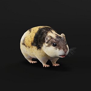3D model Lemming Rodent