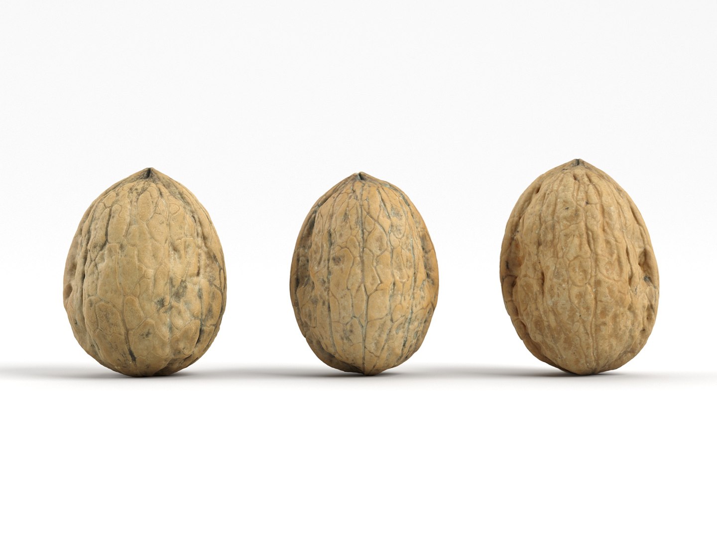 different photorealistic walnut set 3D model https://p.turbosquid.com/ts-thumb/5Q/3Cr8WB/TG3swndM/threewalnuts01_005_front/jpg/1518556402/1920x1080/fit_q87/a74182dcf1c0fb96b017ee9ffe5eb275f1b769a0/threewalnuts01_005_front.jpg