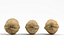 Juego de 3 nueces fotorealistas diferentes.