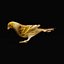 Atlantic Canary Bird