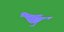 Atlantic Canary Bird