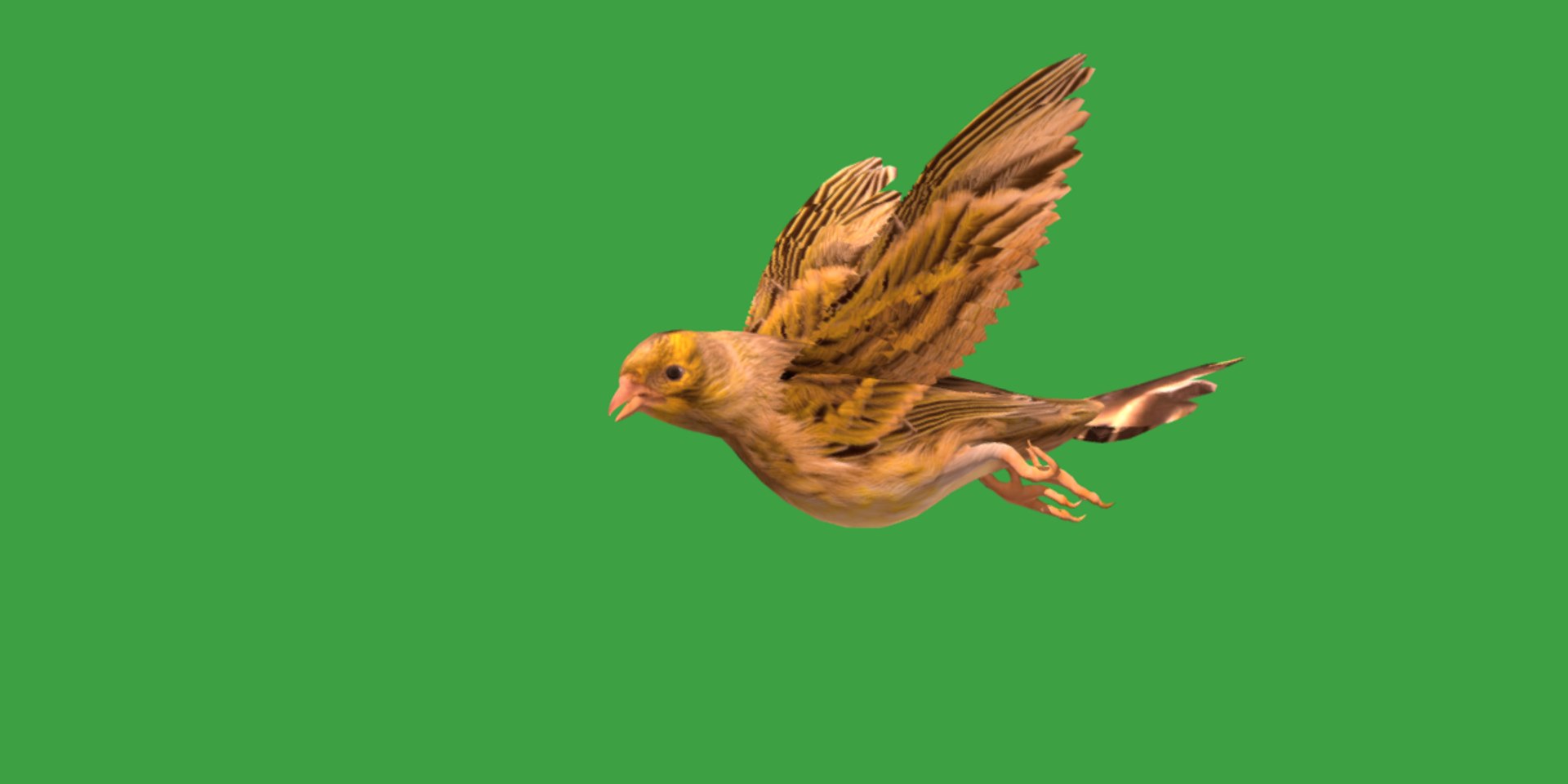 Atlantic Canary Bird 3D model https://p.turbosquid.com/ts-thumb/5Q/3EdHLr/E4/canary_bird17/png/1735275707/1920x1080/fit_q87/ca3a98456d8cb1dcf5e3b8e108cd07ab02c69b32/canary_bird17.jpg