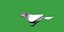 Atlantic Canary Bird