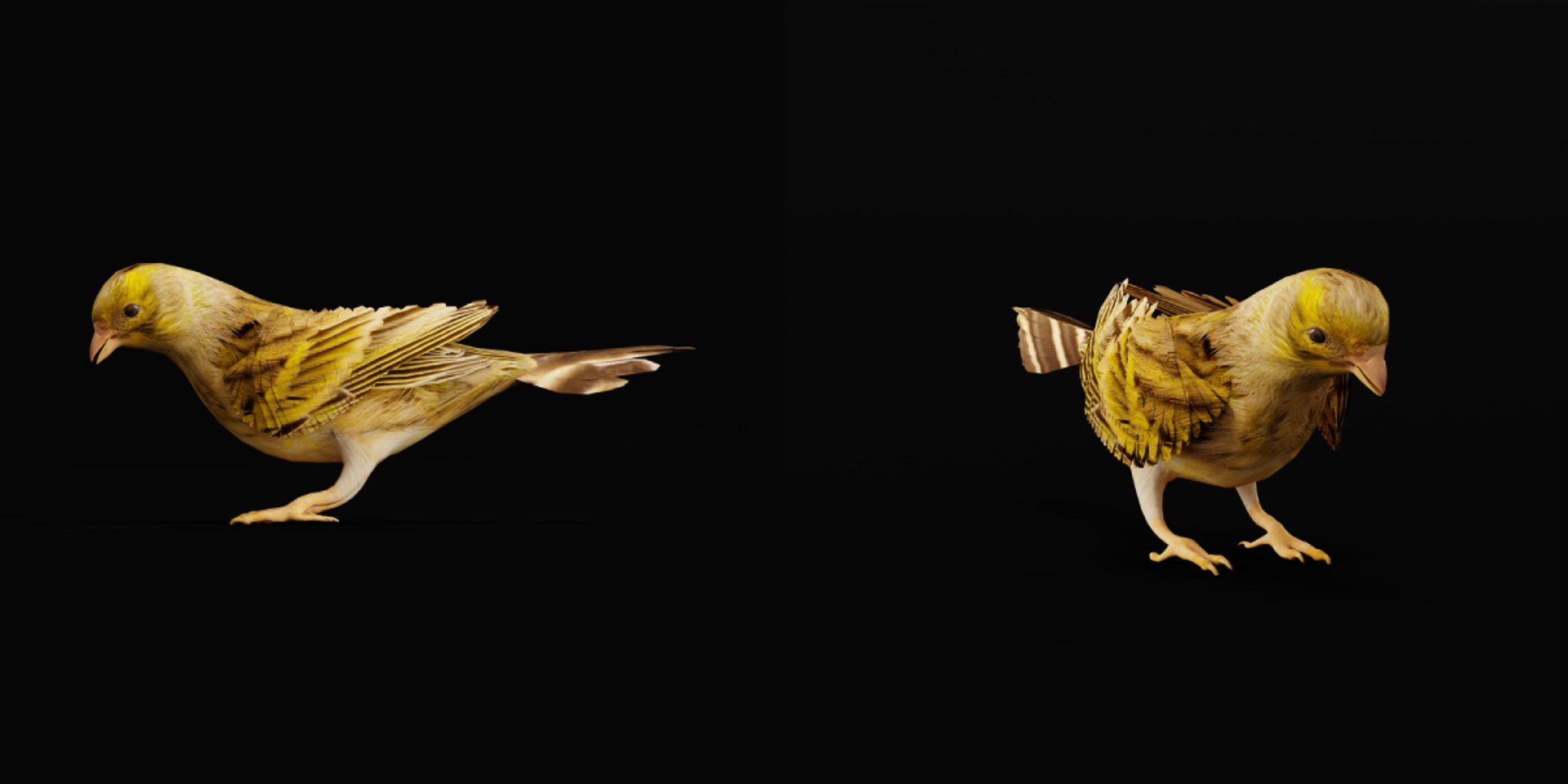 Atlantic Canary Bird 3D model https://p.turbosquid.com/ts-thumb/5Q/3EdHLr/Sj/canary_bird2/png/1735275726/1920x1080/fit_q87/f80b197258c17cef63674ddfd90b113965f62669/canary_bird2.jpg