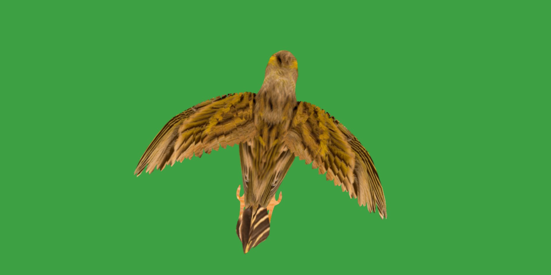 Atlantic Canary Bird 3D model https://p.turbosquid.com/ts-thumb/5Q/3EdHLr/V4/canary_bird6/png/1735275728/1920x1080/fit_q87/8a48f727c3a911c638c0f80500c89d46cf64b47a/canary_bird6.jpg