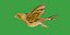 Atlantic Canary Bird
