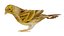 Atlantic Canary Bird