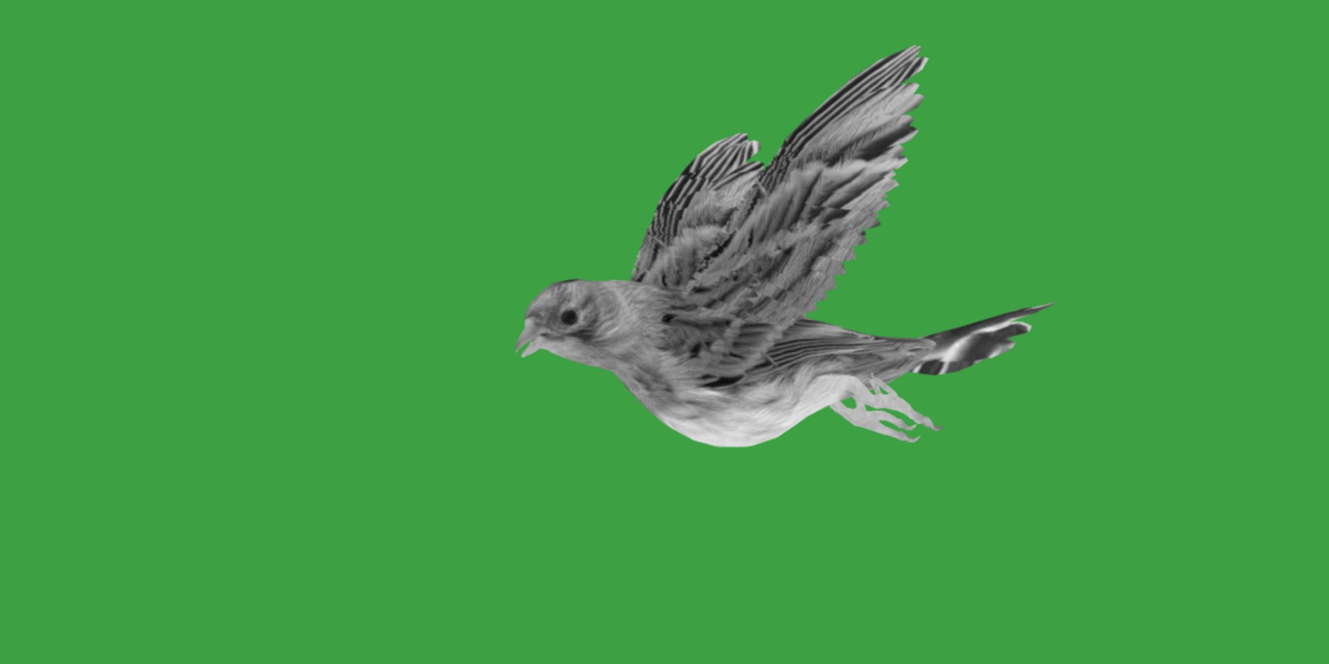 Atlantic Canary Bird 3D model https://p.turbosquid.com/ts-thumb/5Q/3EdHLr/sL/canary_bird16/png/1735275706/1920x1080/fit_q87/637a05cf3139c6d85d1bb3deb1fe9139b717dfd1/canary_bird16.jpg