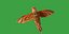 Atlantic Canary Bird