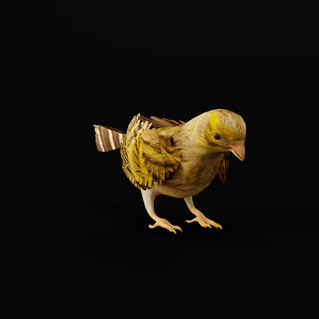 Atlantic Canary Bird 3D model https://p.turbosquid.com/ts-thumb/5Q/3EdHLr/vO/atlantic_canary_bird_rig/jpg/1735275724/1920x1080/fit_q87/cc3ca12ae86f1c6850bc68bbd41c5a93507bed73/atlantic_canary_bird_rig.jpg