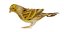Atlantic Canary Bird