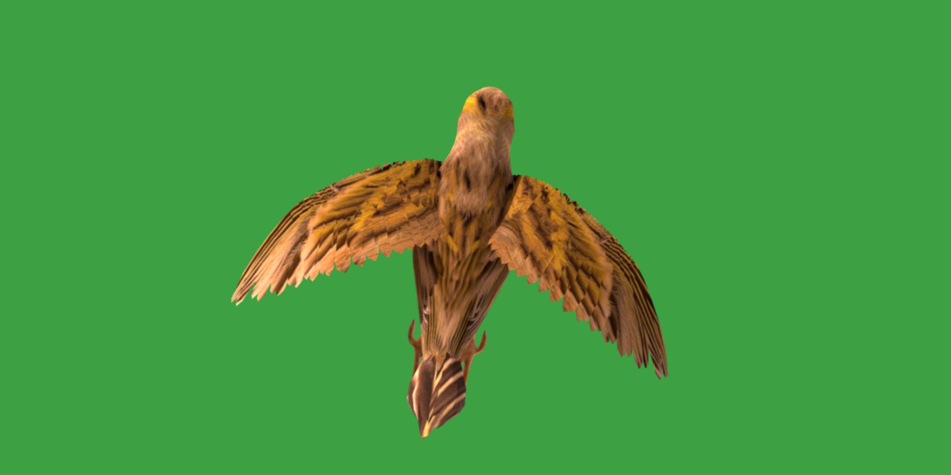 Atlantic Canary Bird 3D model https://p.turbosquid.com/ts-thumb/5Q/3EdHLr/xK/canary_bird7/png/1735275729/1920x1080/fit_q87/515b8f13c992bcbf5fac8f7b7a8d68602471dc98/canary_bird7.jpg