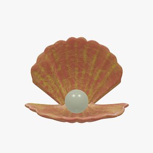 Orange Sea Shell