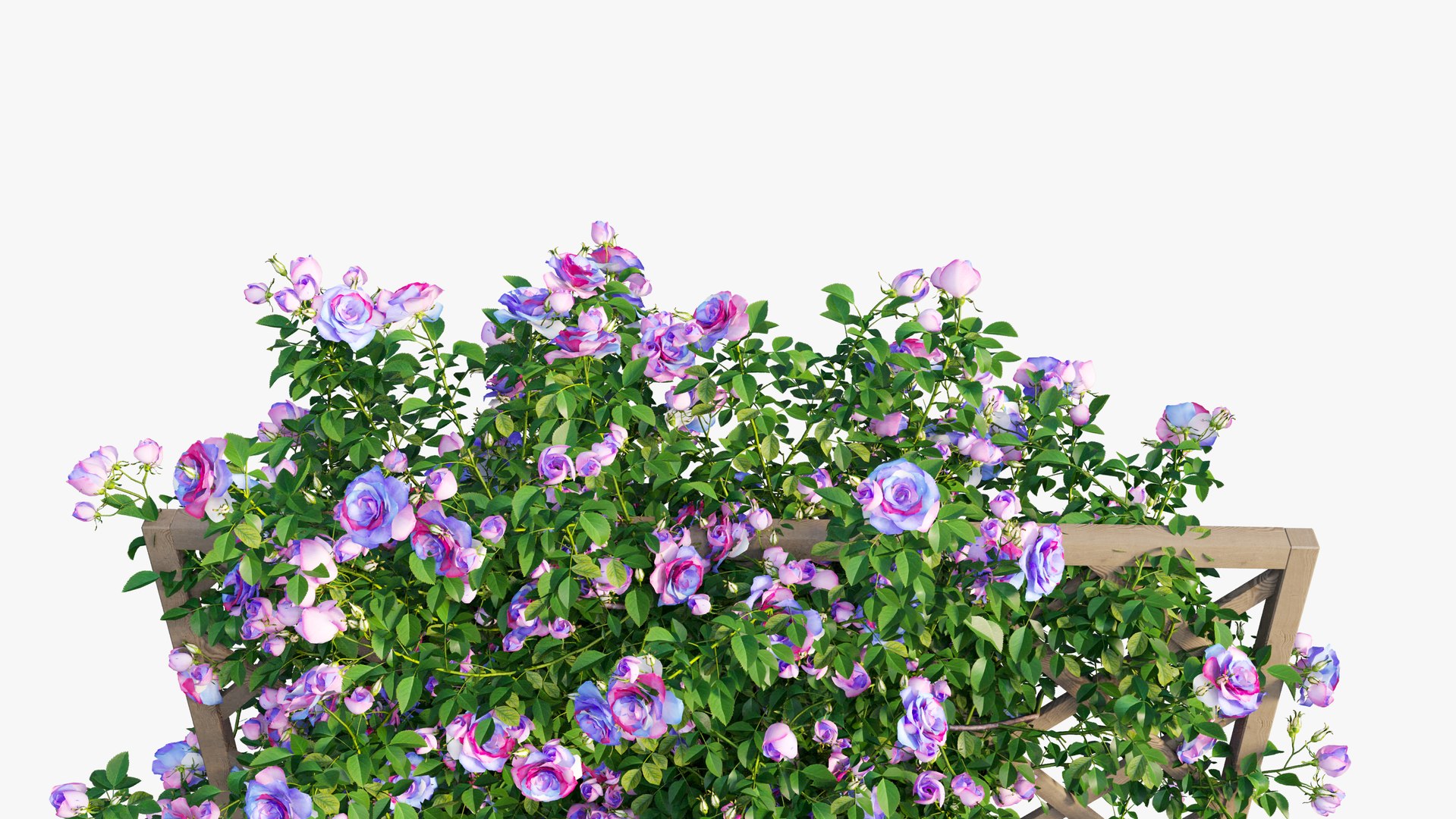 modelo 3d Conjunto de plantas de rosas 14 - TurboSquid 1544576