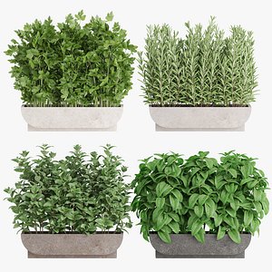 Plants collection 945 3D model