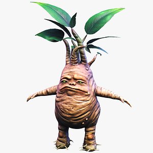 Stylized Mandragora Gnome