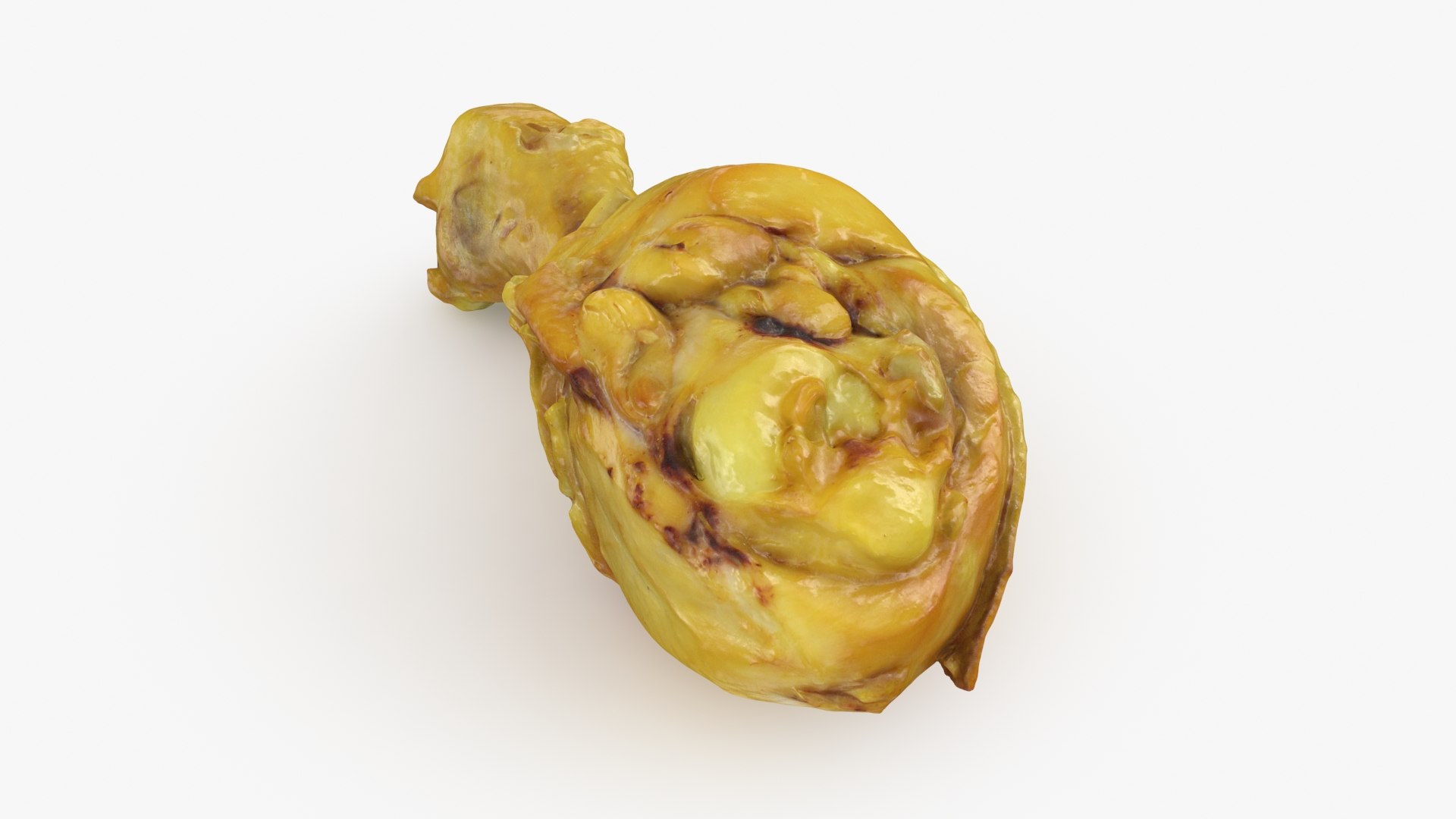 3D Smoked Chicken Leg model https://p.turbosquid.com/ts-thumb/5Q/q4mye3/Kq/smokedchickenleg_b0018/jpg/1729965005/1920x1080/fit_q87/15a72a0ba943b20aee344df4d68bad2f02cb12a5/smokedchickenleg_b0018.jpg