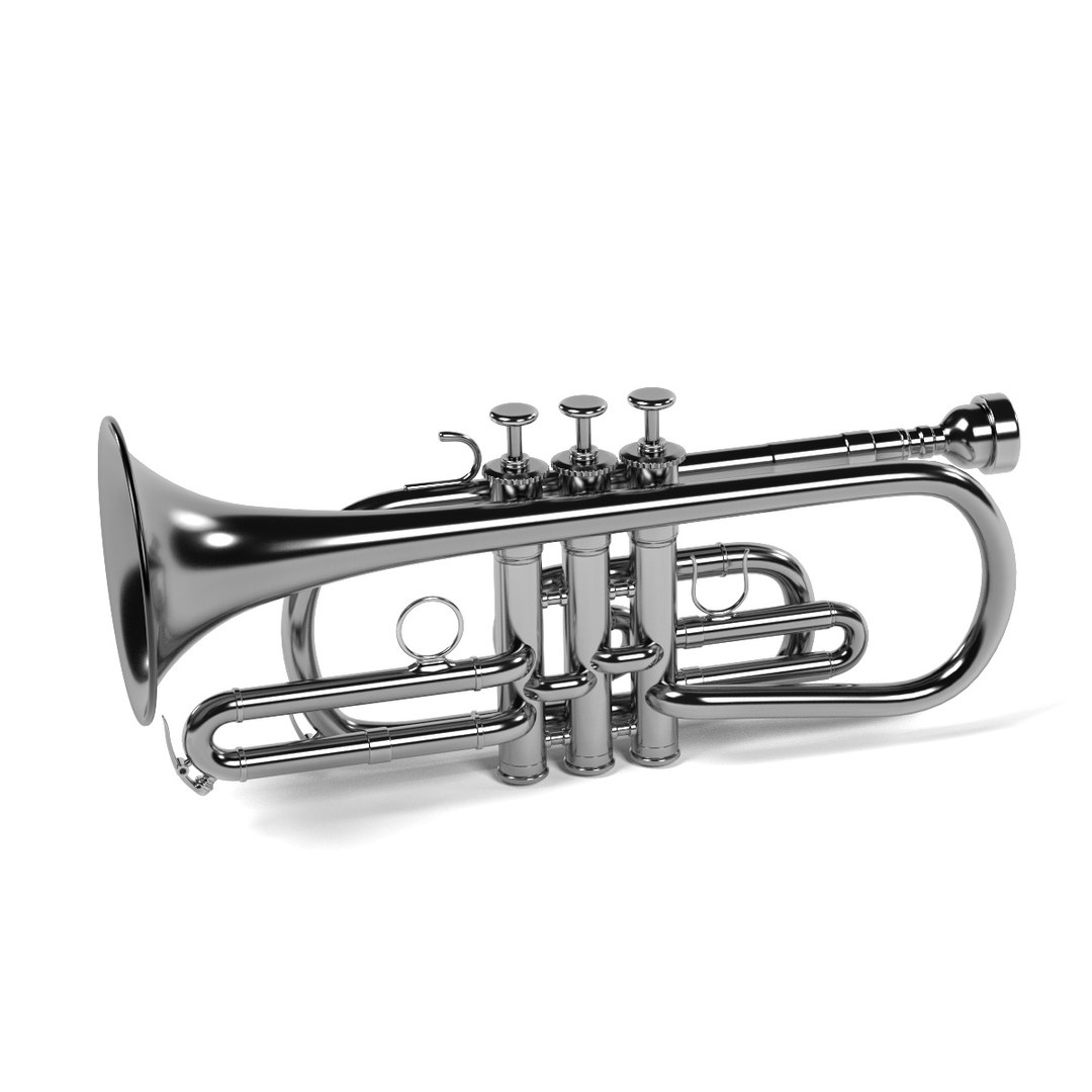 3d brass musical instruments https://p.turbosquid.com/ts-thumb/5Q/uWvOFq/RL2xuFiM/cornetb/jpg/1441112506/1920x1080/fit_q87/512bc19fd977c04e35009cfa250458122edda80f/cornetb.jpg
