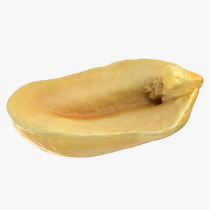 Half Peeled Peanut 01