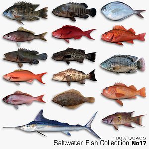 3D Saltwater Fish Collection 17