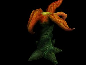 Orange Plant