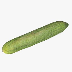Cucumber Remastered 3D model