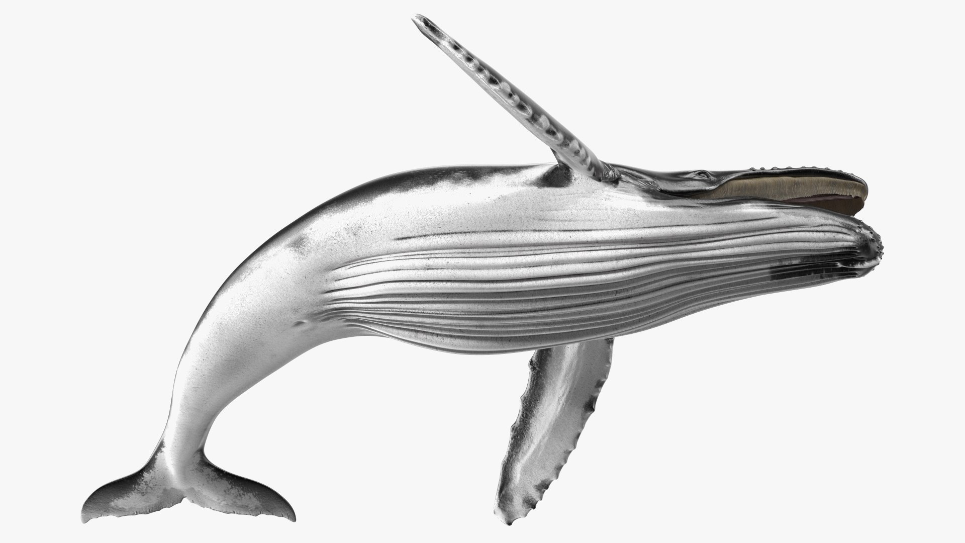 3D Realistic Humpback Whale Rigged for Cinema 4D model https://p.turbosquid.com/ts-thumb/5R/TkjXuO/Re/realistic_humpback_whale_rigged_014/jpg/1758096636/1920x1080/fit_q87/9f18382475c55ce9cdd2a8c8c8337463dcb3f593/realistic_humpback_whale_rigged_014.jpg