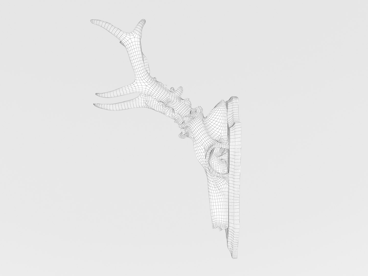 deer antler 3D https://p.turbosquid.com/ts-thumb/5R/ZWzRtO/g7Mw1b6T/deerhead2_wireframe_0004/jpg/1583501038/1920x1080/fit_q87/50361f7211d16e903f445ad89e3c55348df90d3e/deerhead2_wireframe_0004.jpg