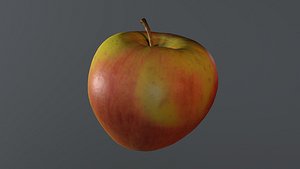 3D hy apple 02 model