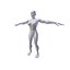 Femme 1 86m basemesh