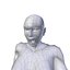 Femme 1 86m basemesh
