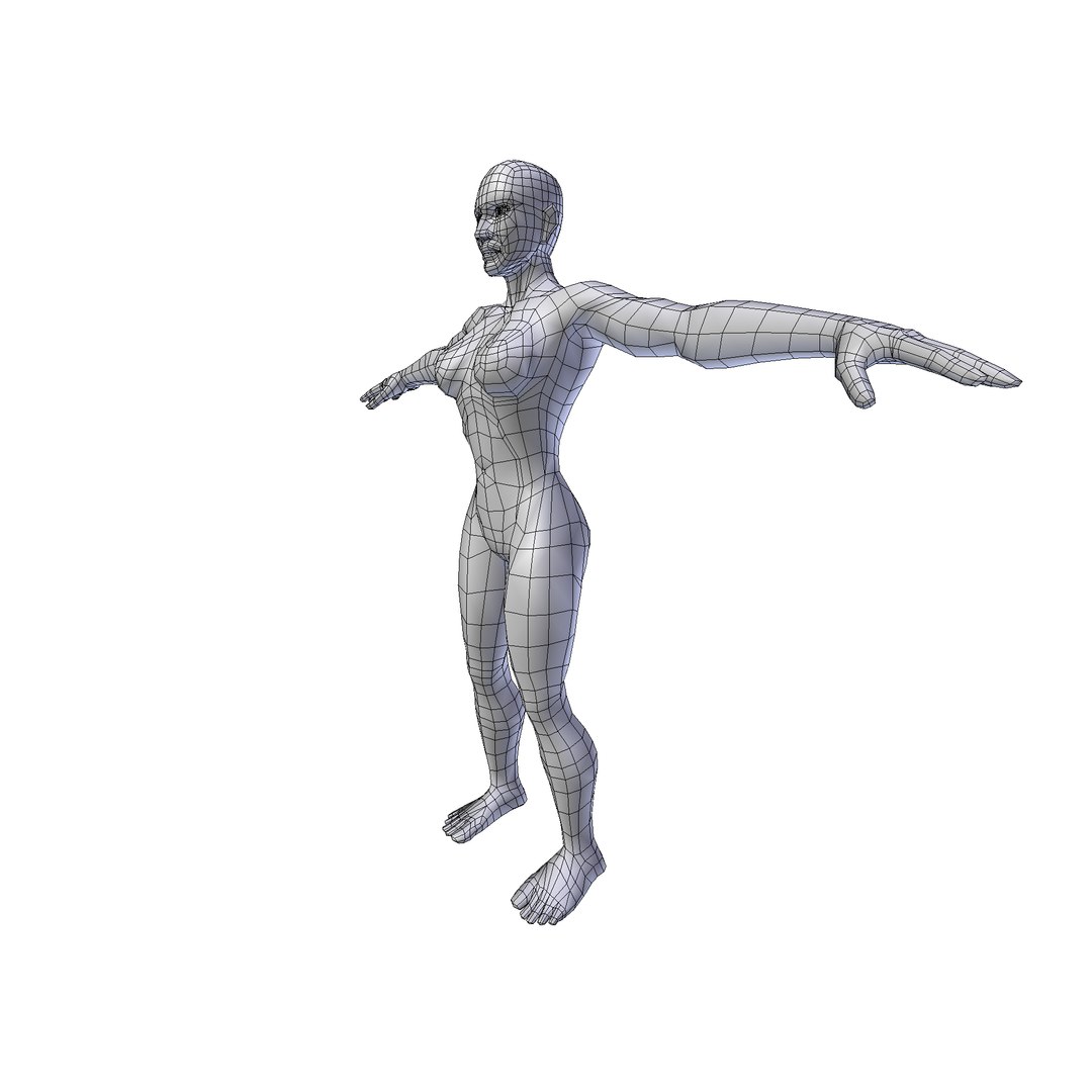 Woman 1 86m basemesh 3D model https://p.turbosquid.com/ts-thumb/5R/kKoy7L/KU/woman1.86wire0008/png/1730243345/1920x1080/fit_q87/516b05f83466d6be1c33c770d2772667c9e1fc3b/woman1.86wire0008.jpg