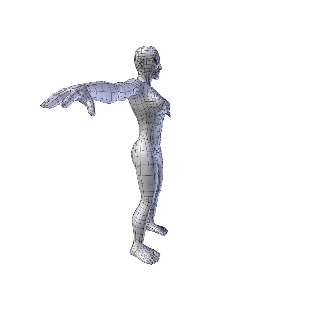 Woman 1 86m basemesh 3D model https://p.turbosquid.com/ts-thumb/5R/kKoy7L/SI/woman1.86wire0004/png/1730243343/1920x1080/fit_q87/dad114c0e372718055685f30f222c117212bdc89/woman1.86wire0004.jpg