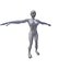 Femme 1 86m basemesh